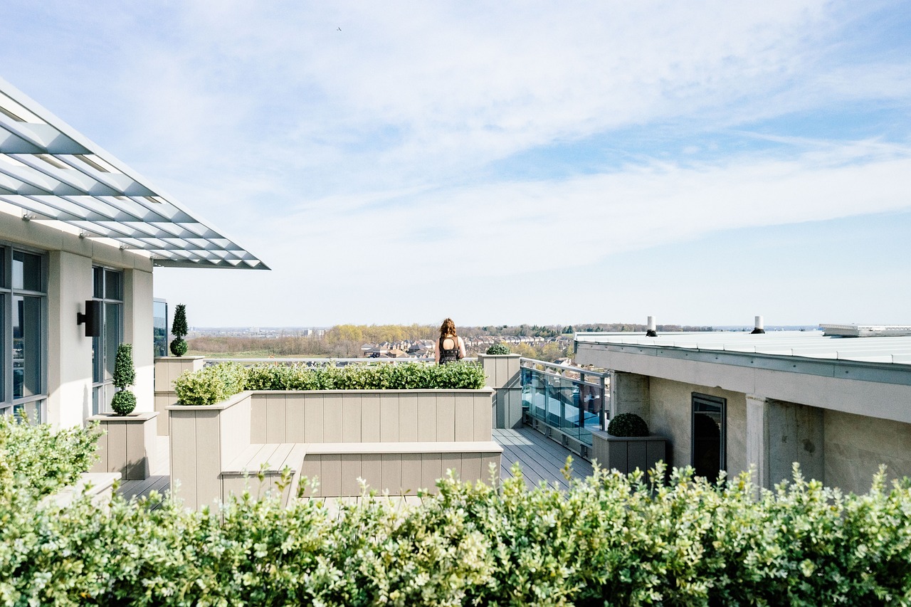 Jakie są rozwiązania projektowania zieleni na dachach budynków?